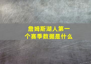 詹姆斯湖人第一个赛季数据是什么