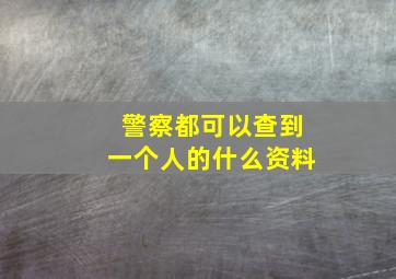 警察都可以查到一个人的什么资料