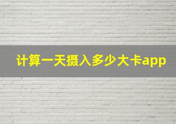 计算一天摄入多少大卡app