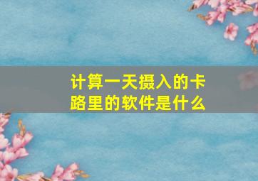 计算一天摄入的卡路里的软件是什么