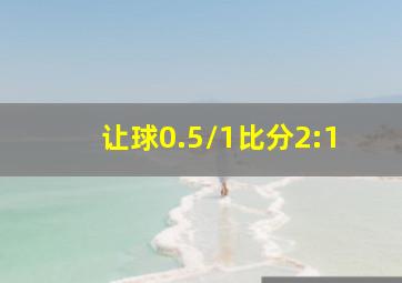 让球0.5/1比分2:1