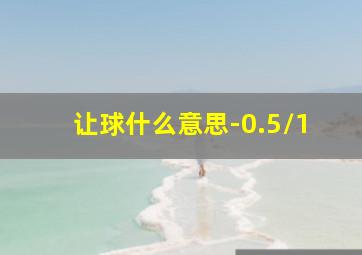 让球什么意思-0.5/1