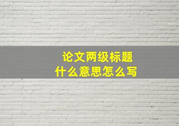 论文两级标题什么意思怎么写