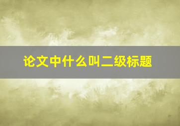 论文中什么叫二级标题