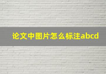 论文中图片怎么标注abcd