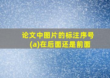 论文中图片的标注序号(a)在后面还是前面