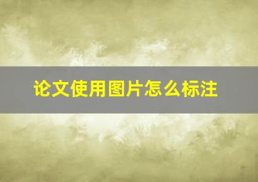 论文使用图片怎么标注