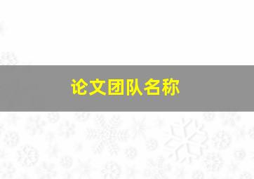 论文团队名称