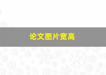 论文图片宽高