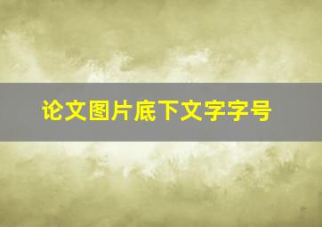 论文图片底下文字字号