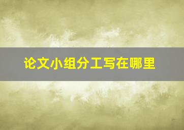 论文小组分工写在哪里