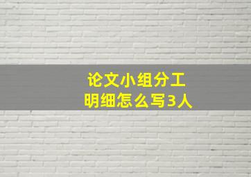 论文小组分工明细怎么写3人