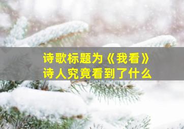 诗歌标题为《我看》诗人究竟看到了什么