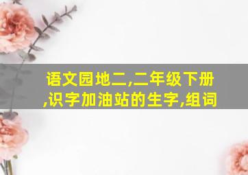 语文园地二,二年级下册,识字加油站的生字,组词