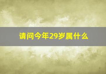 请问今年29岁属什么