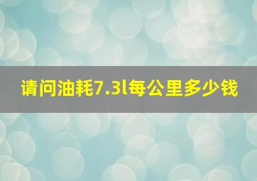 请问油耗7.3l每公里多少钱