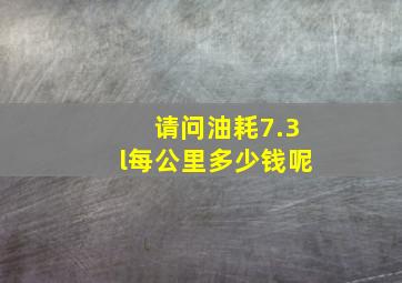 请问油耗7.3l每公里多少钱呢