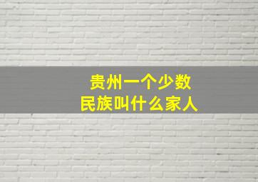 贵州一个少数民族叫什么家人