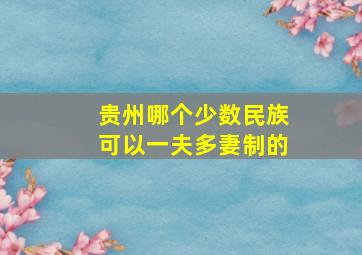 贵州哪个少数民族可以一夫多妻制的