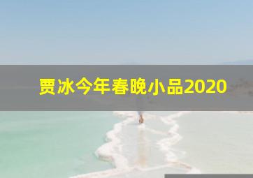 贾冰今年春晚小品2020