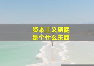 资本主义到底是个什么东西