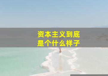 资本主义到底是个什么样子