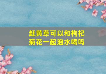 赶黄草可以和枸杞菊花一起泡水喝吗