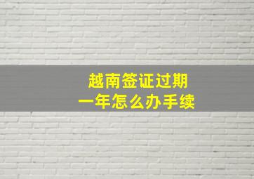 越南签证过期一年怎么办手续