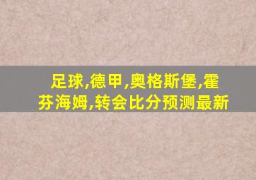 足球,德甲,奥格斯堡,霍芬海姆,转会比分预测最新