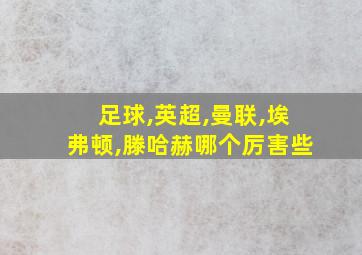 足球,英超,曼联,埃弗顿,滕哈赫哪个厉害些