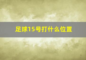 足球15号打什么位置