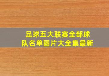 足球五大联赛全部球队名单图片大全集最新