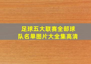 足球五大联赛全部球队名单图片大全集高清