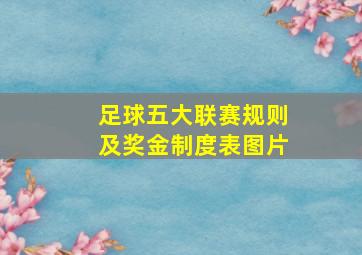 足球五大联赛规则及奖金制度表图片