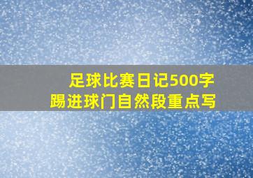 足球比赛日记500字踢进球门自然段重点写