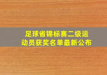 足球省锦标赛二级运动员获奖名单最新公布