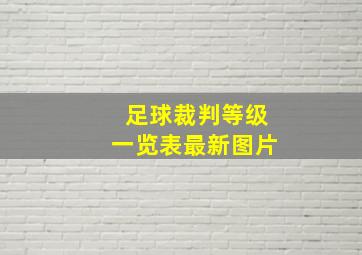 足球裁判等级一览表最新图片