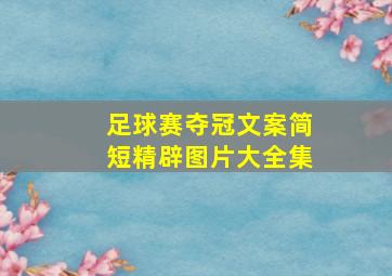 足球赛夺冠文案简短精辟图片大全集