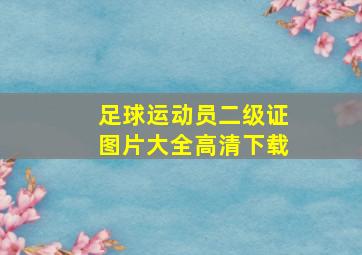 足球运动员二级证图片大全高清下载