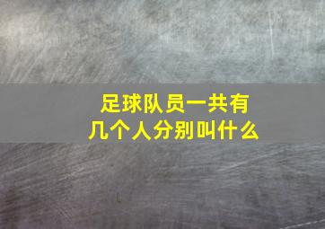 足球队员一共有几个人分别叫什么