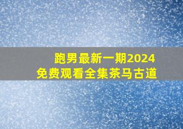 跑男最新一期2024免费观看全集茶马古道