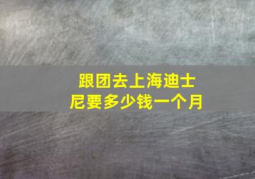 跟团去上海迪士尼要多少钱一个月