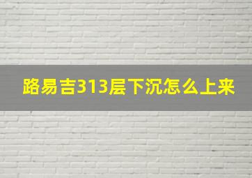 路易吉313层下沉怎么上来