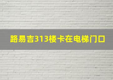 路易吉313楼卡在电梯门口