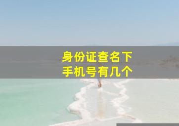 身份证查名下手机号有几个