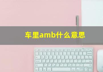 车里amb什么意思