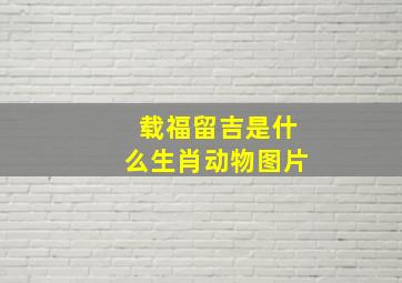 载福留吉是什么生肖动物图片