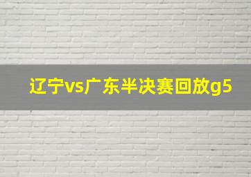 辽宁vs广东半决赛回放g5