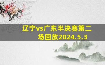 辽宁vs广东半决赛第二场回放2024.5.3