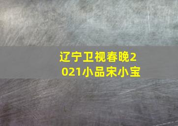 辽宁卫视春晚2021小品宋小宝